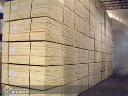 上海建材市場供應優(yōu)質(zhì)云杉，助力城市建設與家居裝修